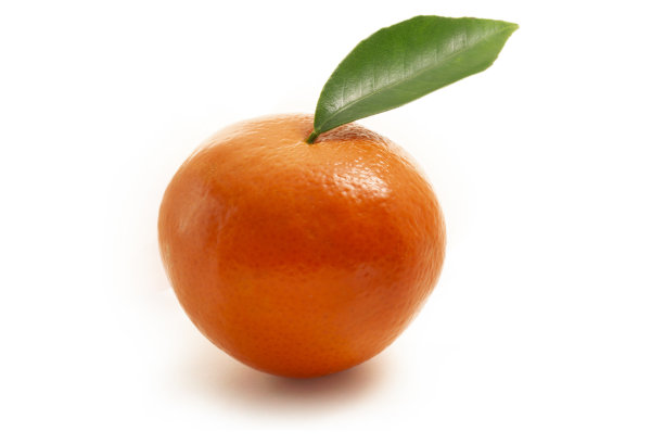 单柑橘，叶分离图片下载