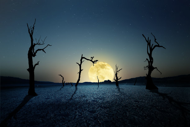 陆地上美丽的月亮图片下载