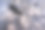 画面采用滴画技法。混合不同颜色的白色和黑色。纹和斑点。水平方向。图片下载