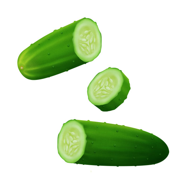 新鲜切片黄瓜，蔬菜现实插图孤立在白色背景。图片下载