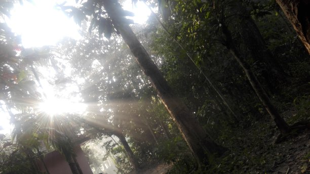 冬天的早晨。图片下载