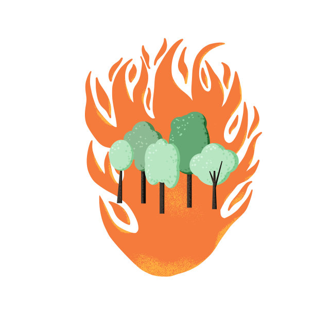 森林火灾的概念。野火的迹象。矢量设计。图片下载