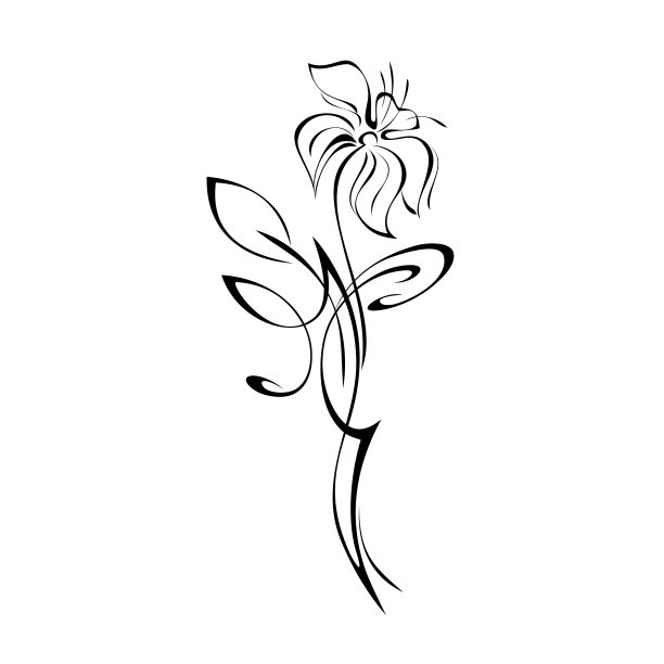 1012年装饰图片下载