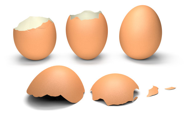 鸡蛋壳图片下载