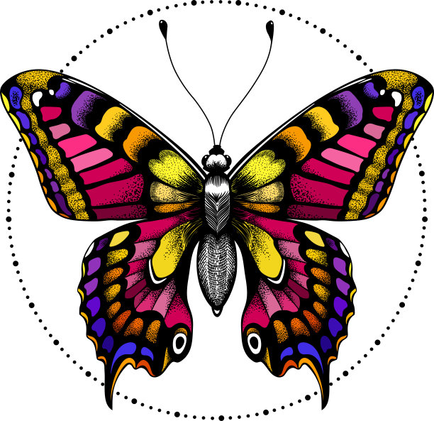 用珠子圈纹蝴蝶。t恤设计图片下载