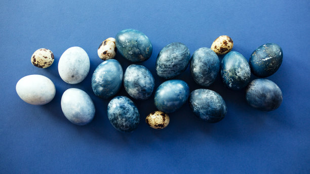 美丽的群暗蓝色复活节蛋鹌鹑蛋和羽毛在蓝色的背景。复活节的概念。边境鸡蛋。文本复制空间图片下载