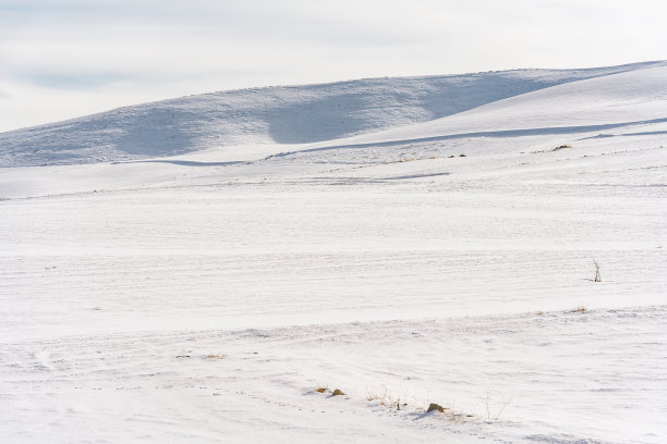 冬天的风景图片下载