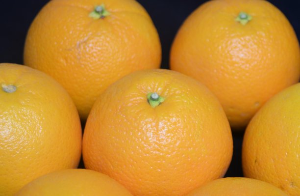 的橙子图片下载