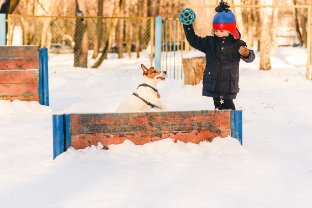 冬季户外活动与狗的概念-年轻的主人训练和玩耍的狗在放开狗的公园图片下载