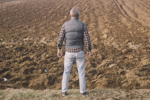 冬末英俊的成年农民站在他犁过的农田里图片下载