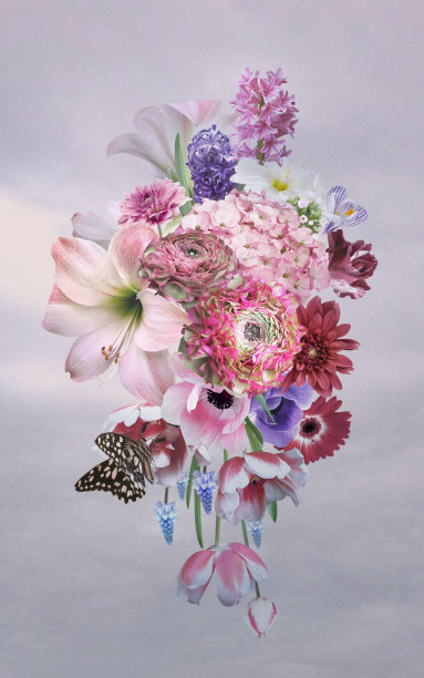 一束美丽的花园里的花。图片下载