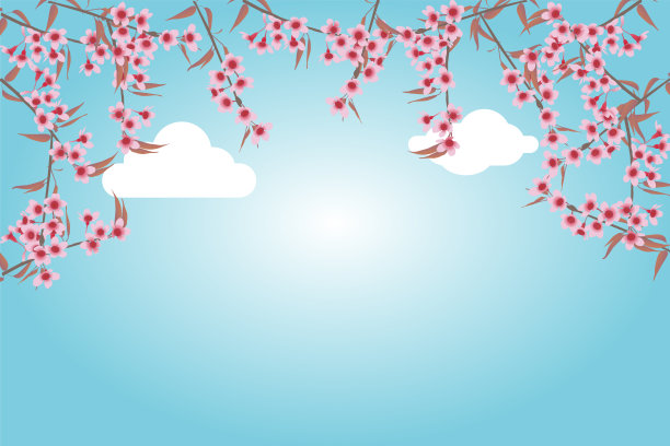 樱花盛开，天空湛蓝。图片下载