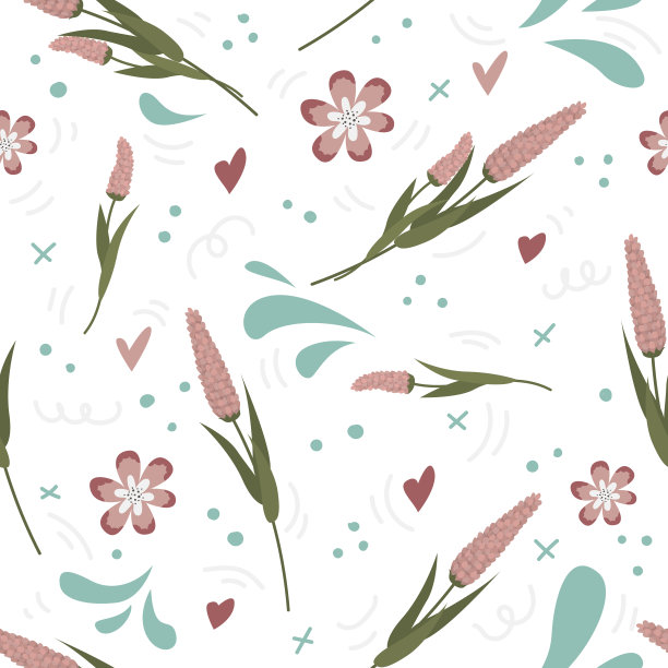 矢量无缝模式与薰衣草花在白色的背景。图片下载