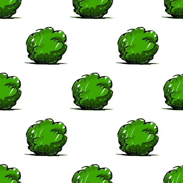 无缝手绘布什插图孤立在白色。图片下载