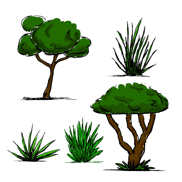 一套五手绘花园植物素描风格孤立在白色。图片下载