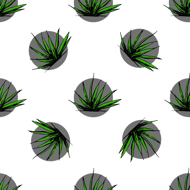 现代无缝背景与园林植物在素描风格。图片下载