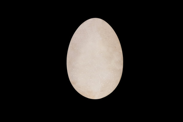白色发光的鸡蛋孤立在黑色的背景图片下载