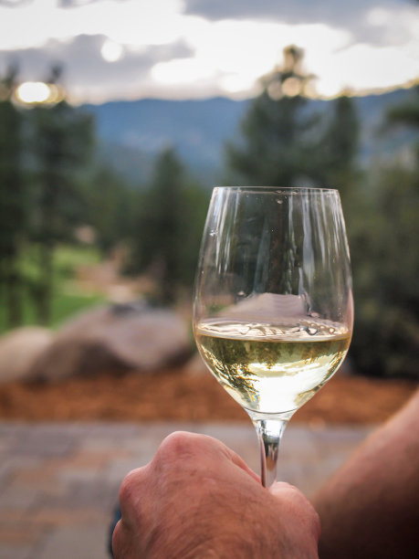 带风景的葡萄酒图片下载