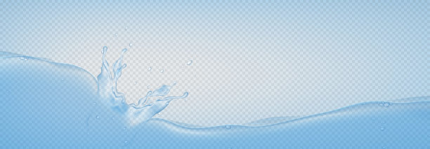 真实的水飞溅孤立的透明背景图片下载