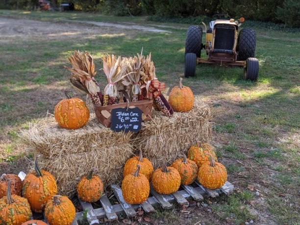 南瓜和拖拉机图片下载