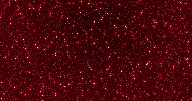 红色闪光粉背景为节日，派对，事件。金色魅惑纹理循环动画图片下载