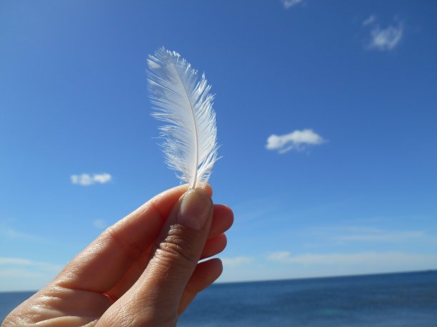 白色羽毛在手海和蓝天的背景图片下载