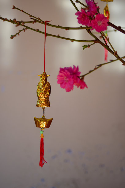 背景是春天的杏花和樱花。这是越南农历新年的象征，照片用于创意设计，印刷广告，杂志和更多图片下载