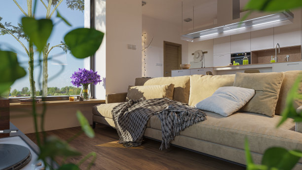 开放式客厅的一部分，窗户边有一个沙发，背景是厨房图片下载