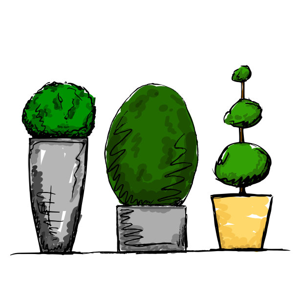 现代风格的园林植物素描插画。图片下载
