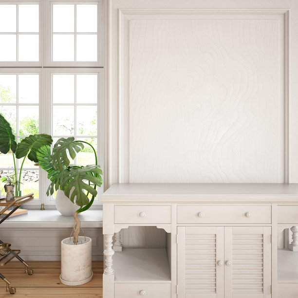 白色壁饰与窗户和室内植物。本空间图片下载