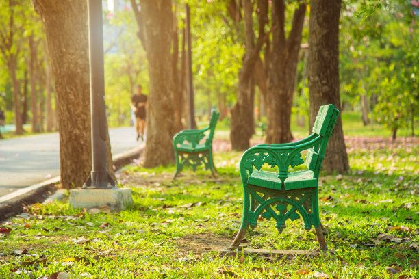 一个绿色的金属长凳在草地边的人行道下，在一个公园的树在早晨与自然背景。图片下载