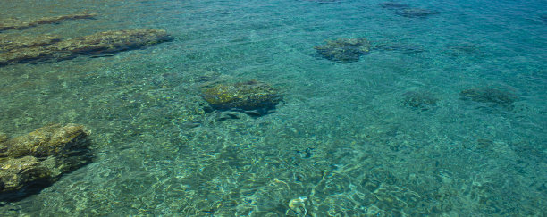 珊瑚礁浅水海洋景观底部在地球热带地区，风景俯视图图片下载