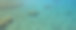 珊瑚礁浅水海洋景观底部在地球热带地区，风景俯视图图片下载