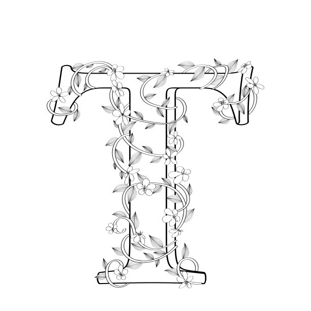 T字花素描图片下载