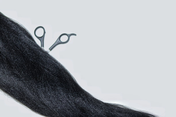 黑色的头发延伸在一个白色的背景与一对剪子图片下载
