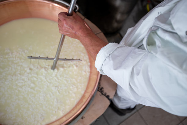 男性奶酪制造商切片奶酪凝乳与凝乳切割机-股票照片图片下载