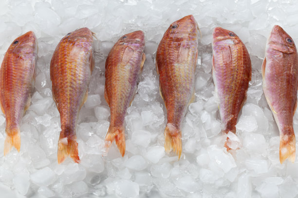 鱼在冰上。鲜鱼在海鲜市场出售。红鲻鱼鱼。图片下载