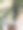 办公室窗台上的花盆里种着绿色植物图片下载