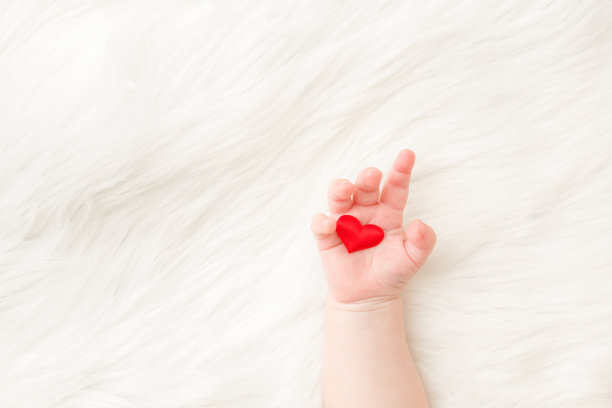 红心在婴儿的手掌。手在白色，柔软，蓬松的毛皮毯子背景。宝宝给父母的爱。特写镜头。给情感的，感伤的文字，可爱的引用或谚语空地方。自顶向下的观点。图片下载