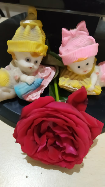 可爱的情侣，玫瑰相伴。图片下载