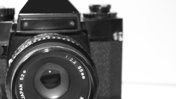 SLR 2(黑白)图片下载