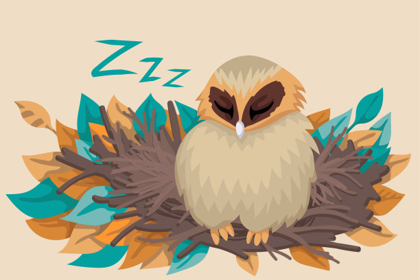 睡在巢里的猫头鹰，秋叶四处飞舞图片下载