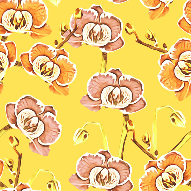 兰花花朵无缝图案。图片下载