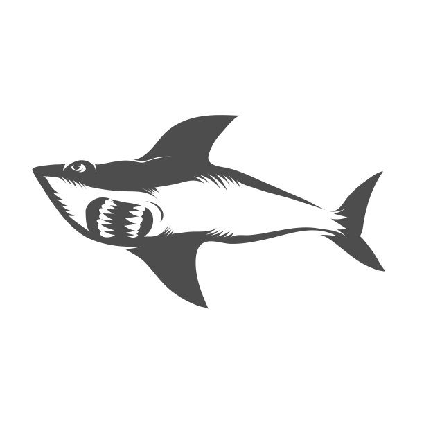 白色背景上孤立的鲨鱼。鱼无缝图案。图片下载