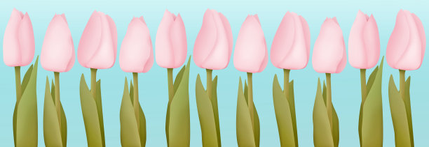 季节性的花布局在蓝绿色的背景图片下载