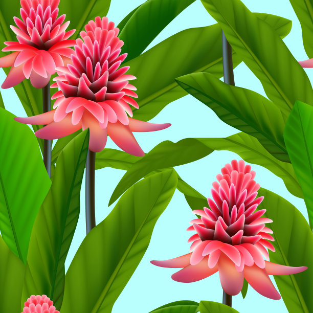 热带花卉盛开。花卉无缝模式。矢量插图与红姜花和叶。每股收益10图片下载