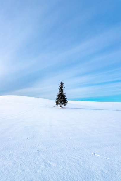 北海道，美丽的冬季景色图片下载