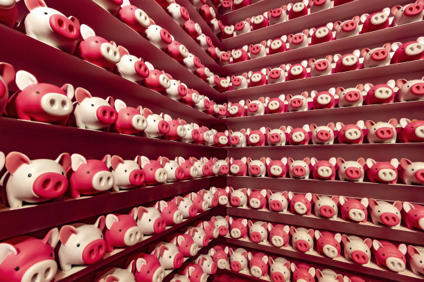 很多玩具小猪图片下载