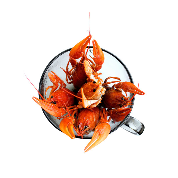 红色水煮小龙虾在一个有把手的大玻璃碗。美味的节肢动物孤立在一个白色的背景。从上往下看。图片下载