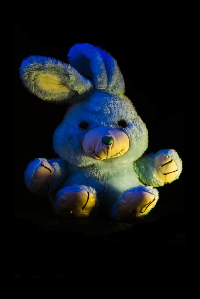 蓝色兔子-萨米图片下载